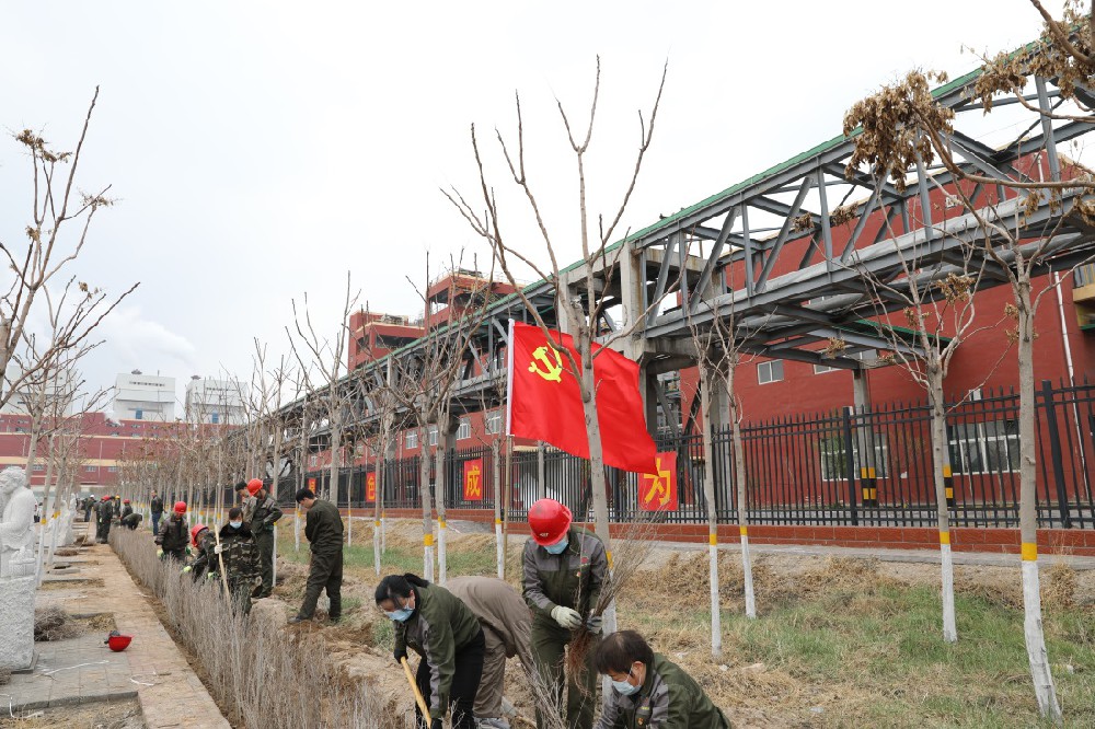 Staff planting trees